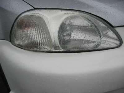 IMG_1542.jpg