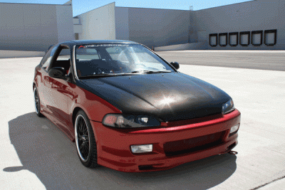 teamadvan_pic_hatch_02large.gif