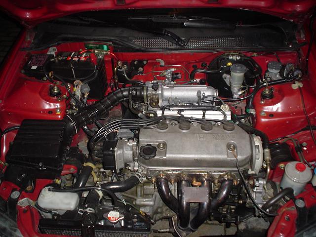 DSC04095.JPG