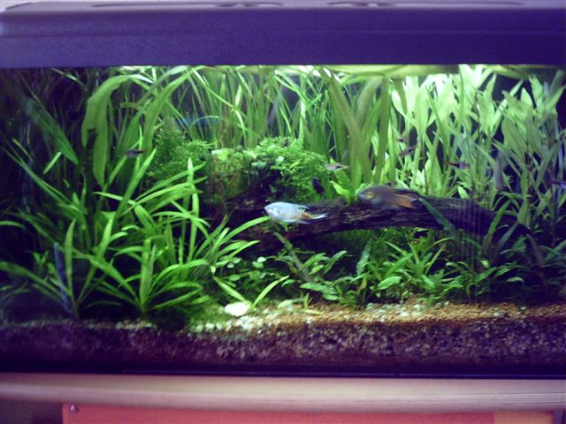 PICT0028.JPG