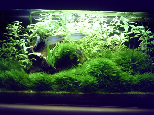 PICT0050.JPG