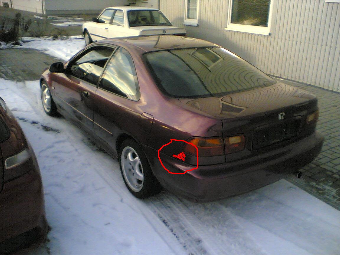 rost.JPG