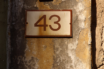 43.jpg