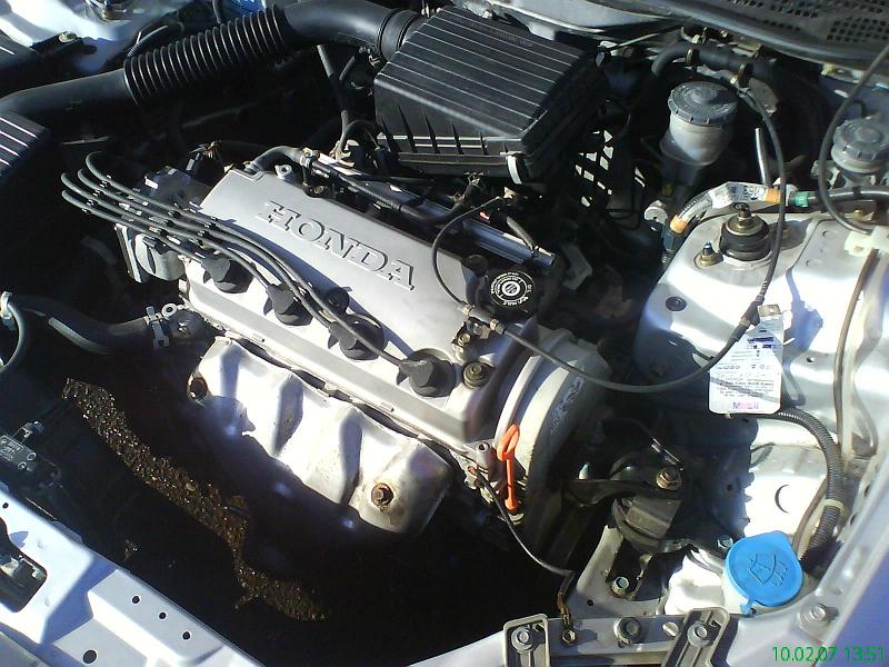 Civic1.JPG
