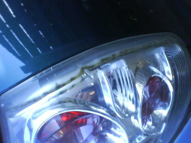 DSC00031.JPG