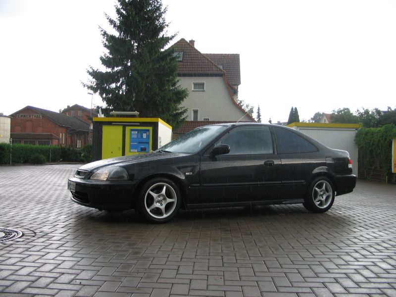 img19131wm8.jpg