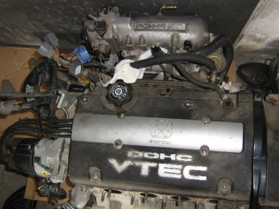 m2.jpg