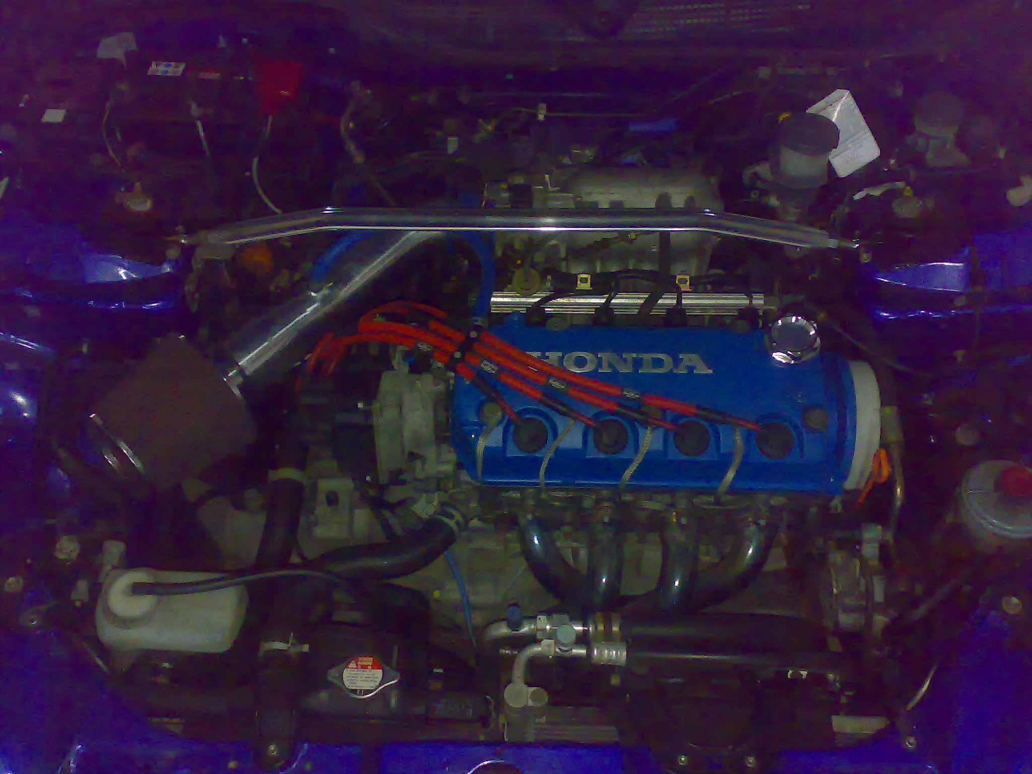 18032007226.jpg