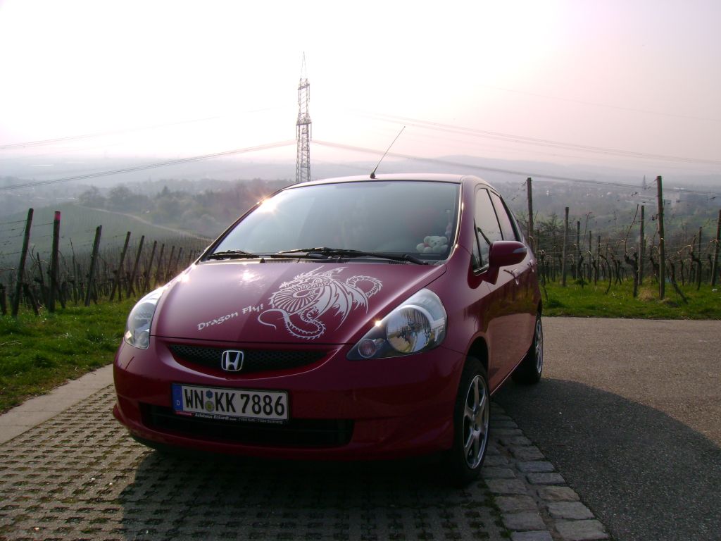 DSC00137.jpg