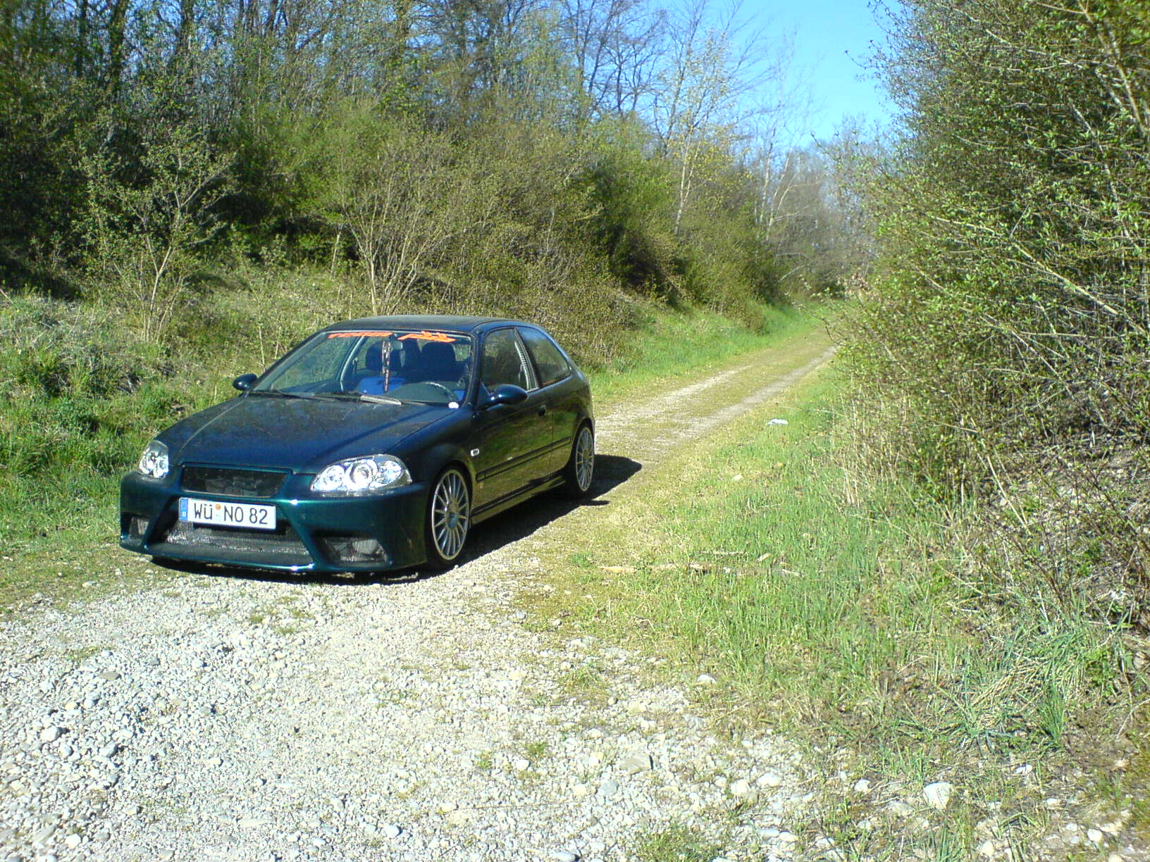 DSC00490.JPG