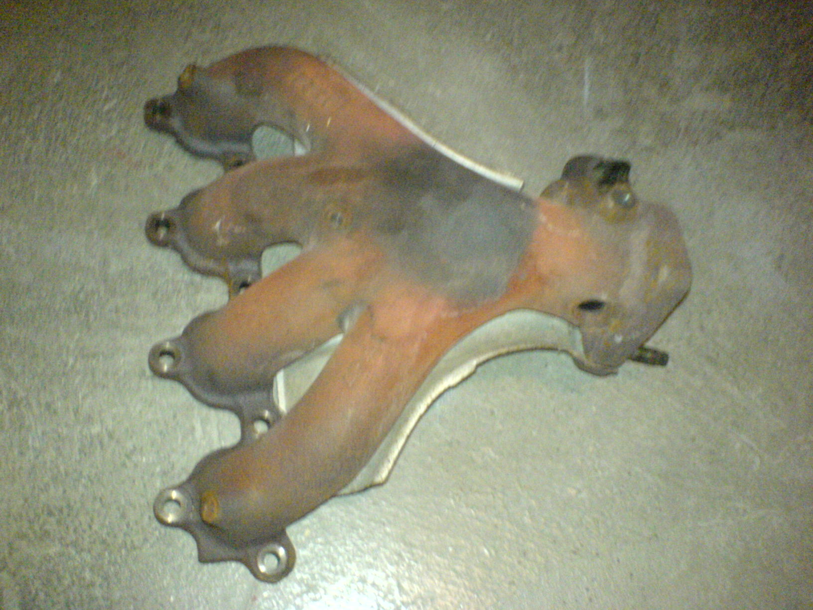DSC00490.JPG
