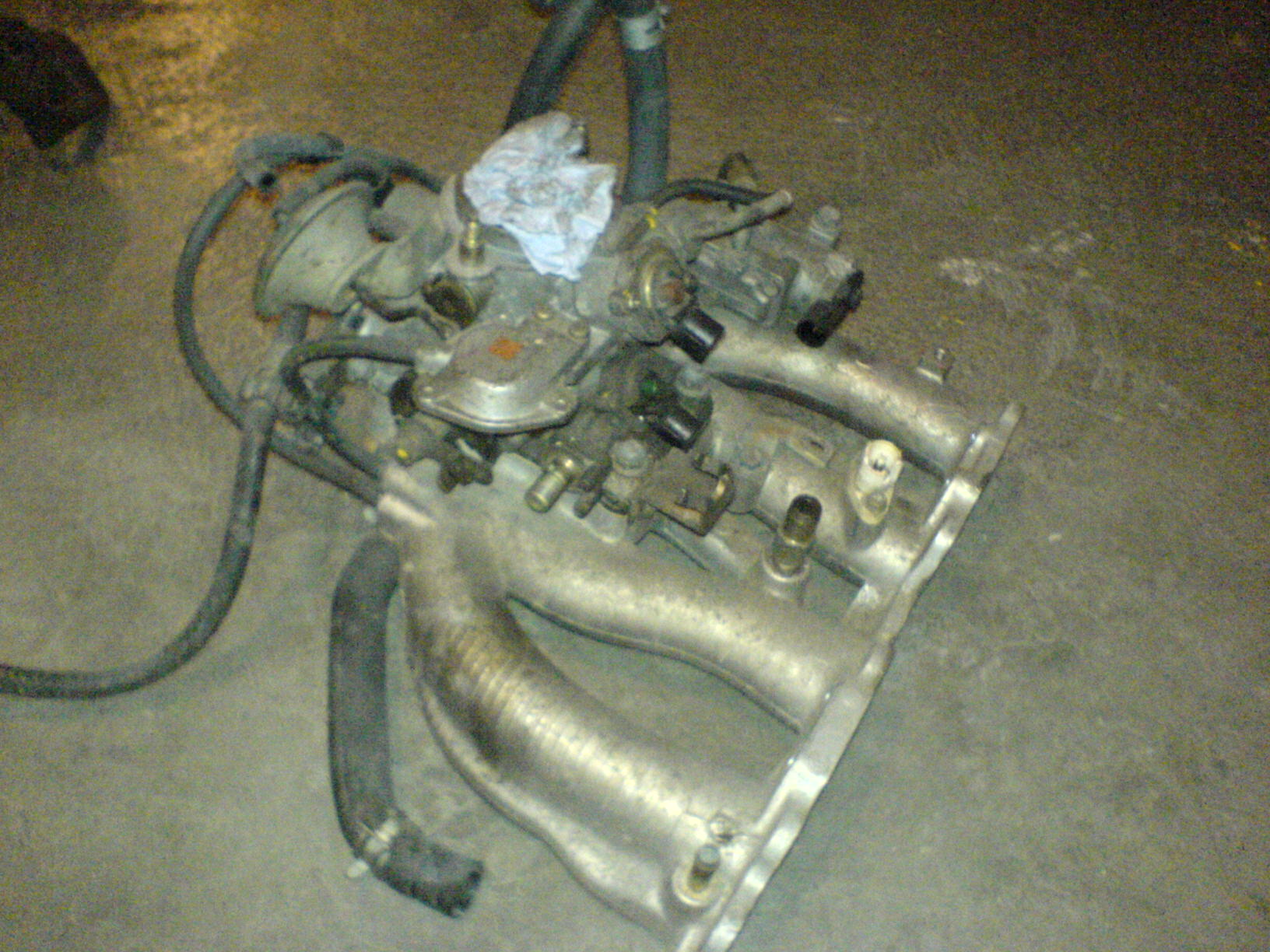 DSC00495.JPG