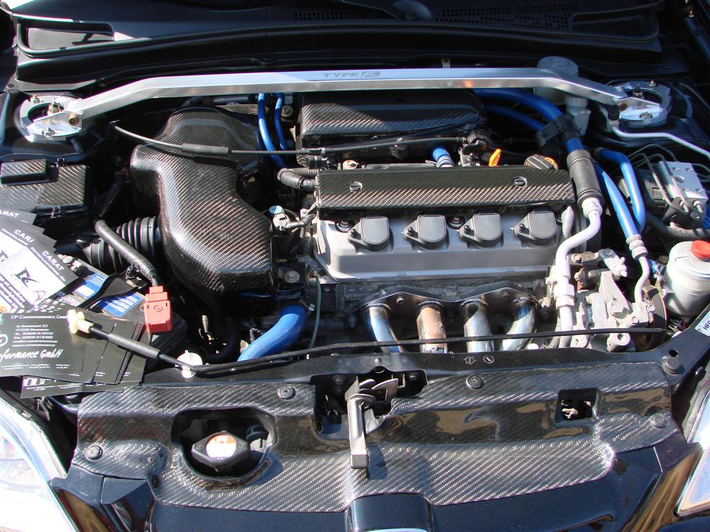 DSC00992 (Large).JPG