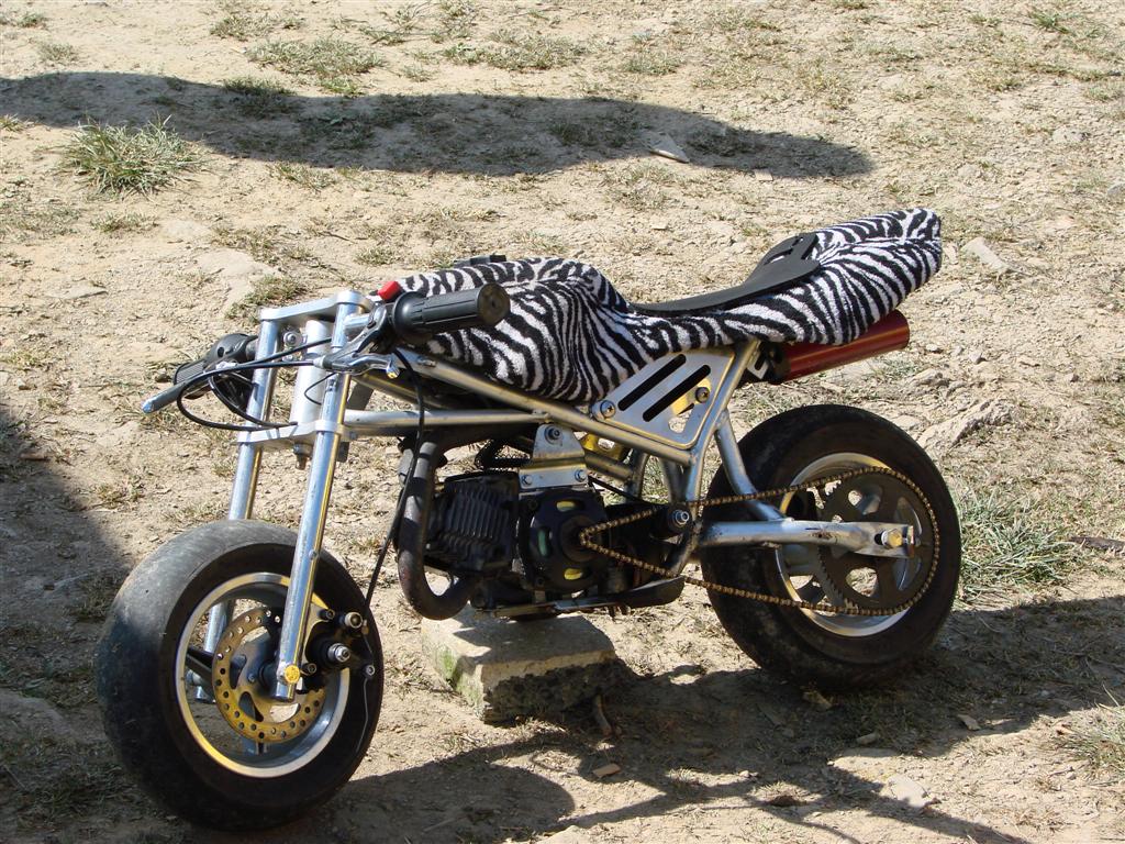 DSC01009 (Large).JPG