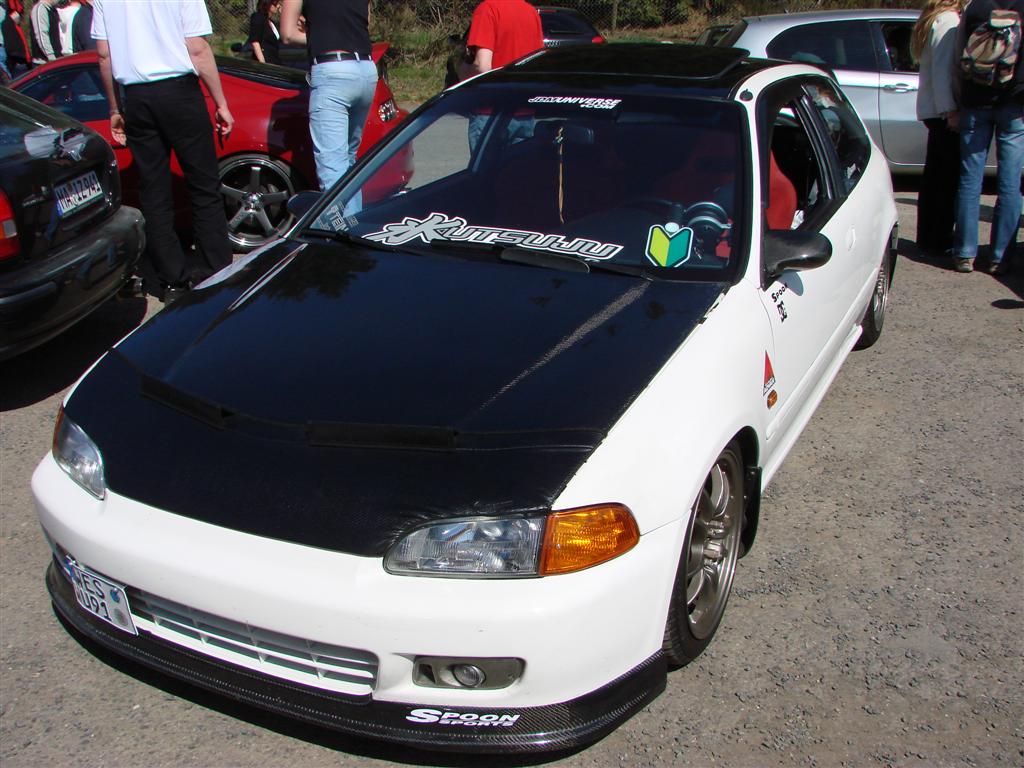 DSC01077 (Large).JPG