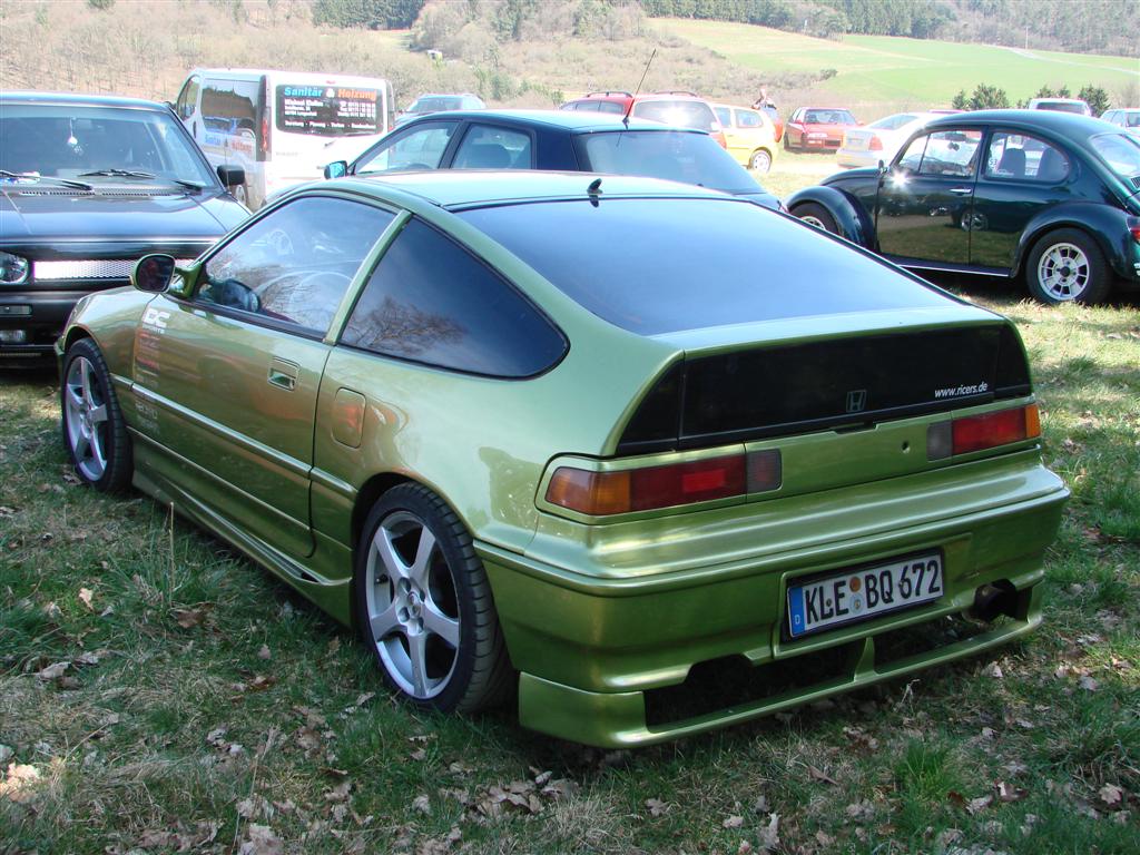 DSC01119 (Large).JPG