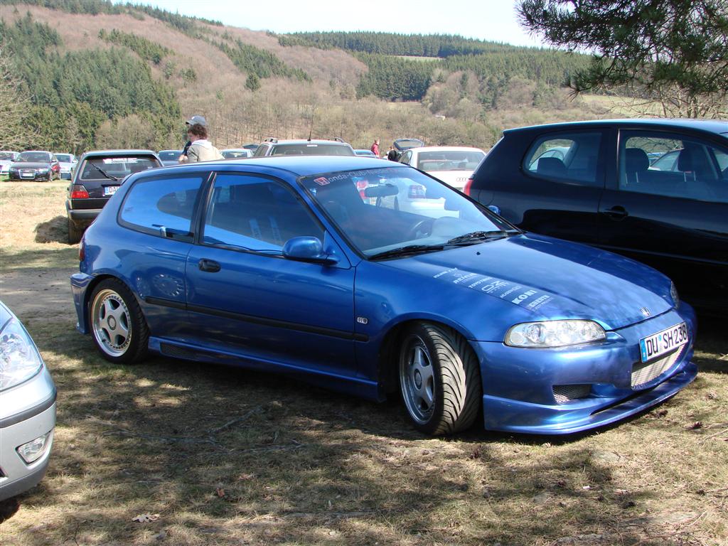 DSC01123 (Large).JPG
