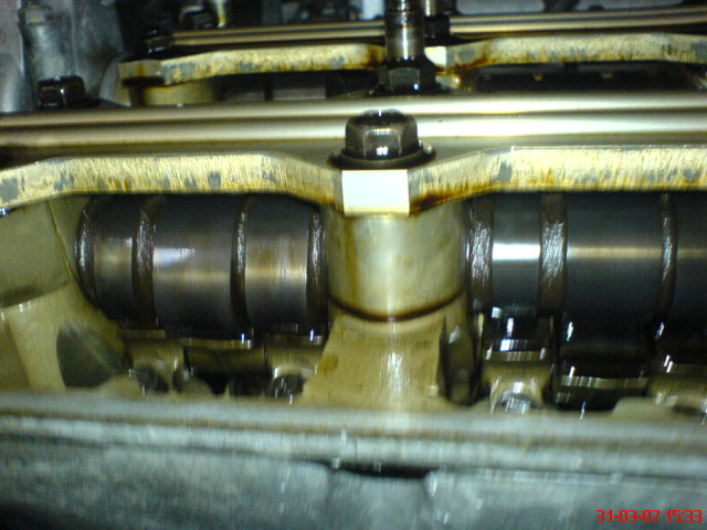 DSC04102.JPG