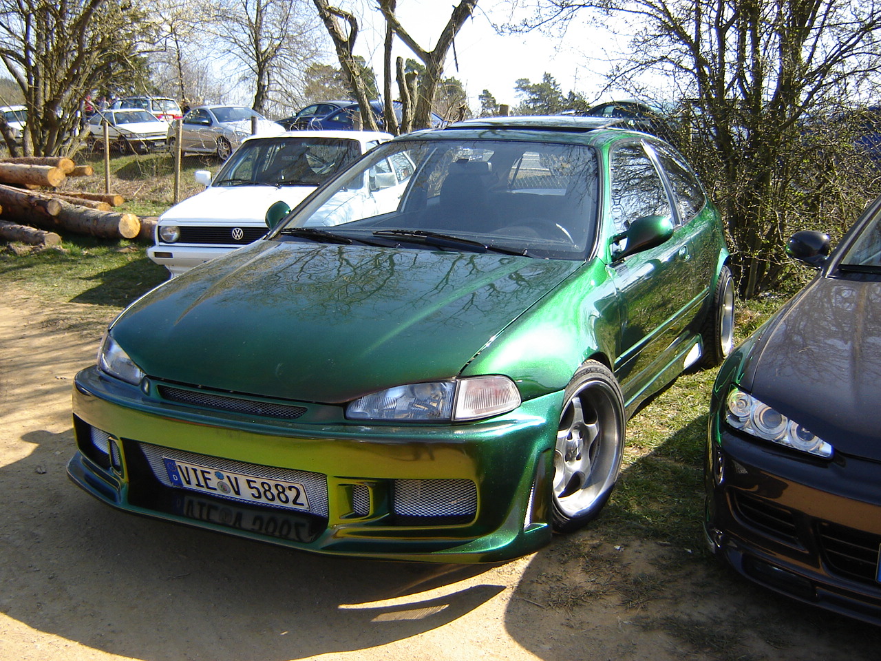 DSC05737.JPG