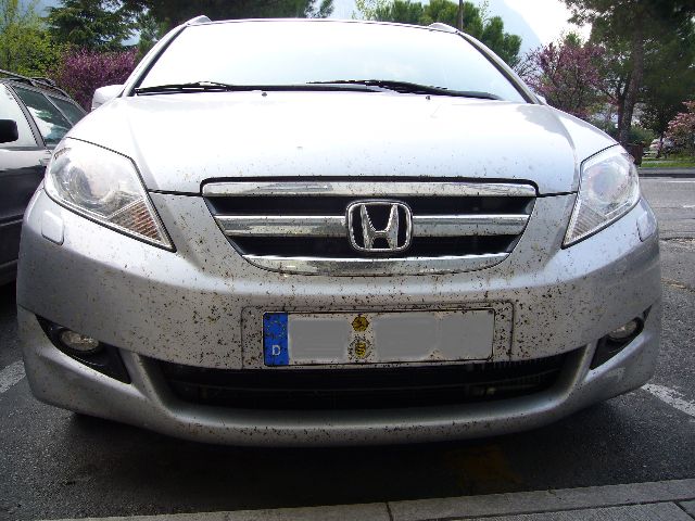 Nach Rumänien.JPG