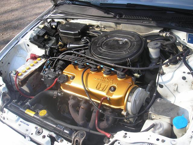 P4010050.JPG