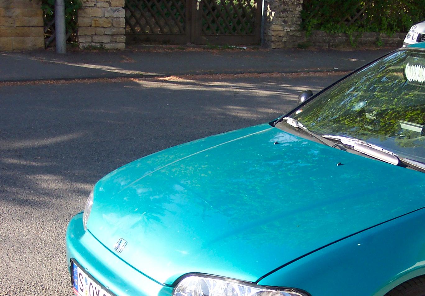100_3777.jpg