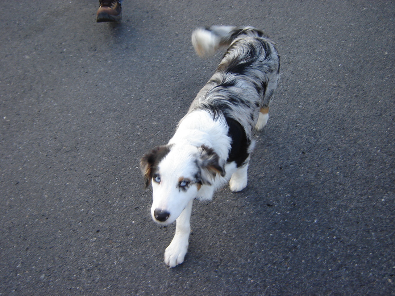 DSC06396.JPG