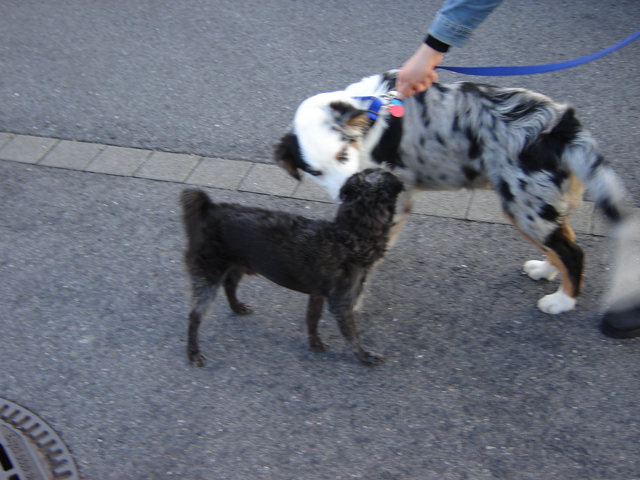 DSC06400.JPG