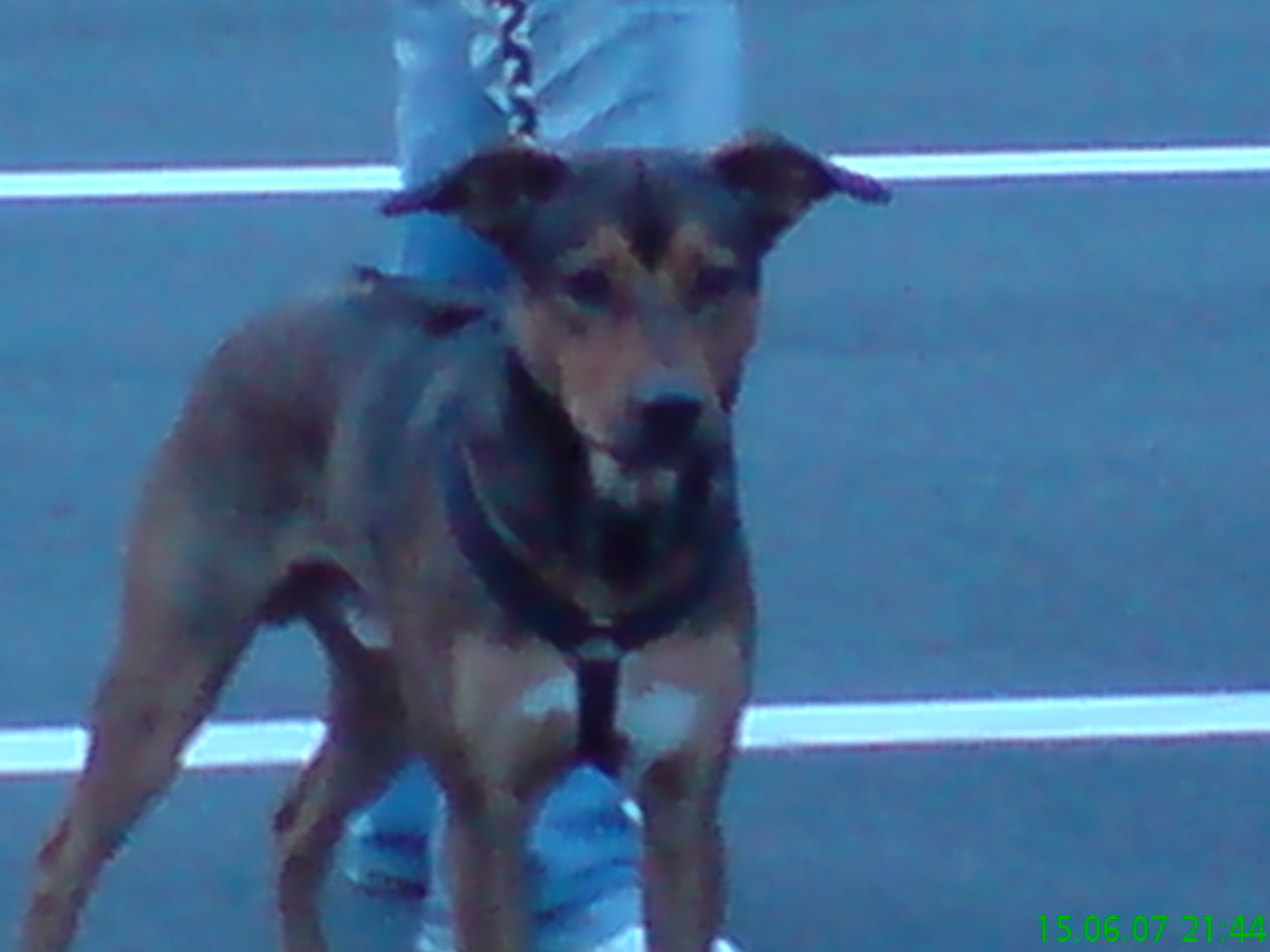 DSC00108.JPG
