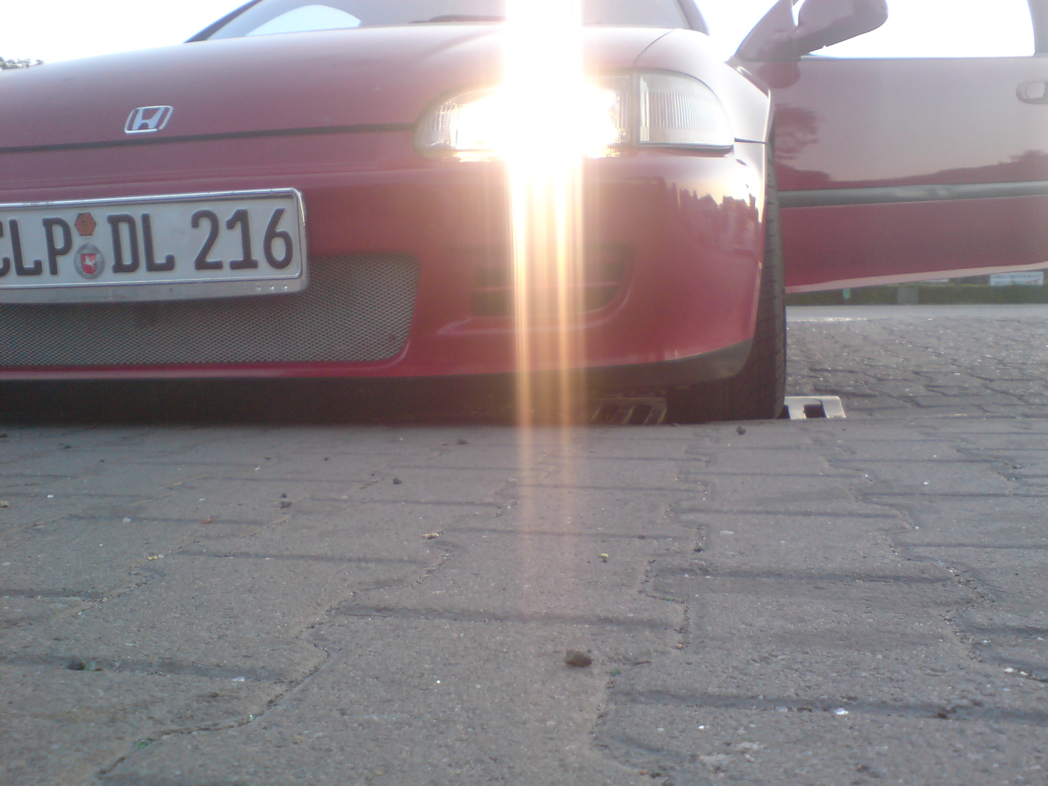DSC01053.JPG