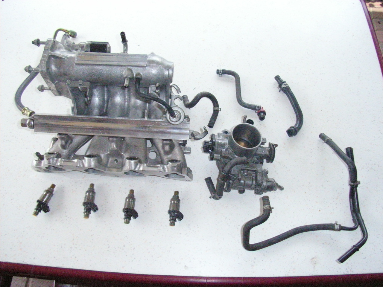 RIMG0473.JPG