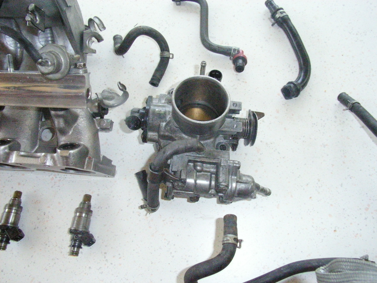RIMG0475.JPG
