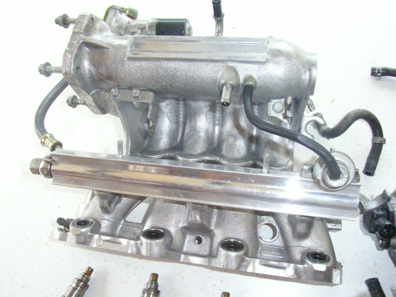 RIMG0478.JPG