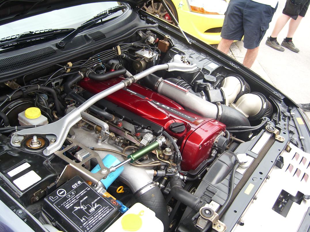 SL270857.JPG