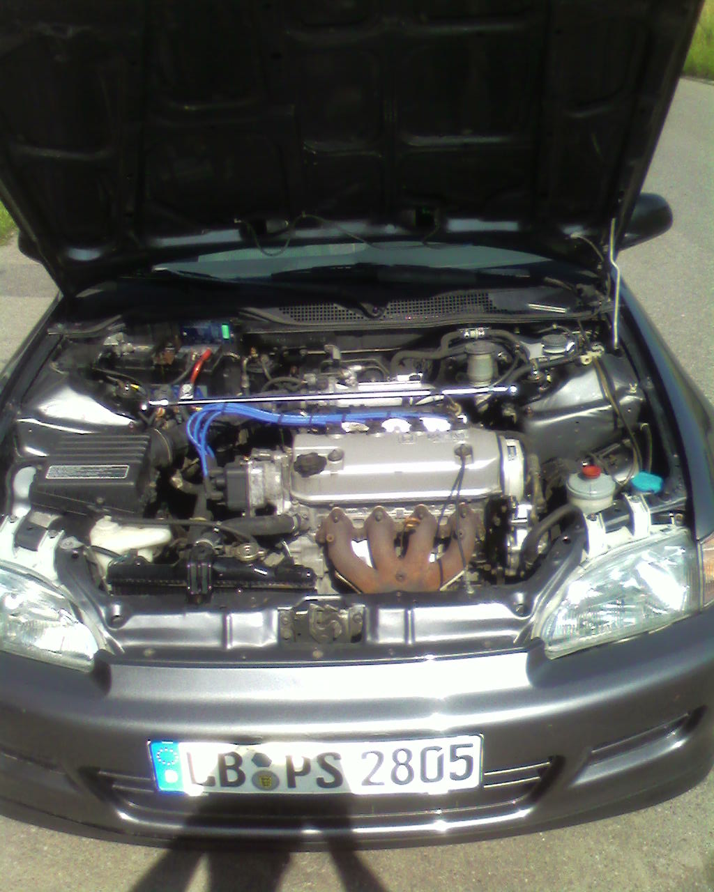 SP_A0003.jpg