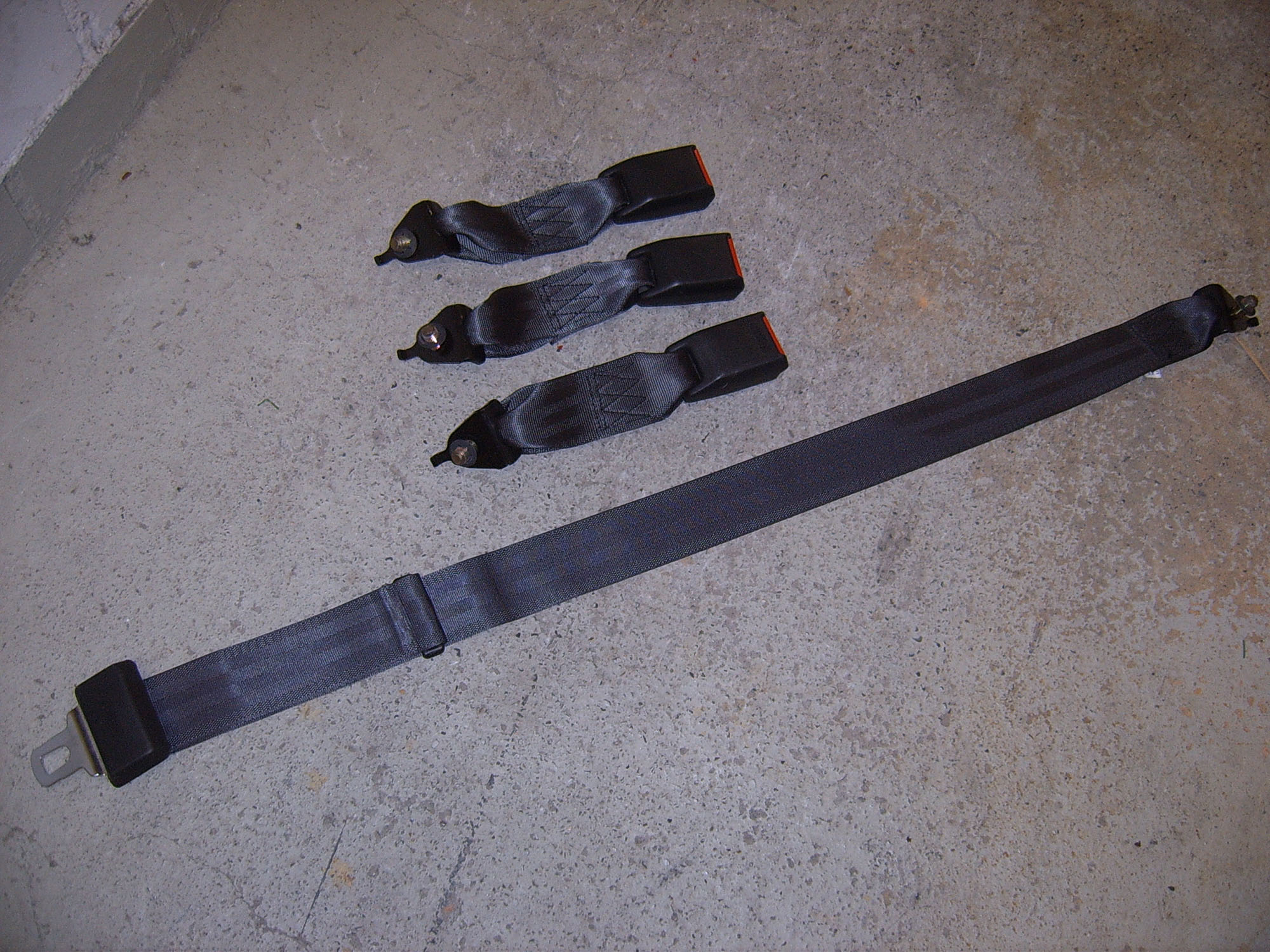 SUC51203.jpg