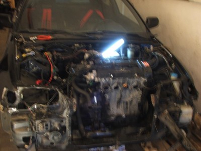 DSCF1288.JPG