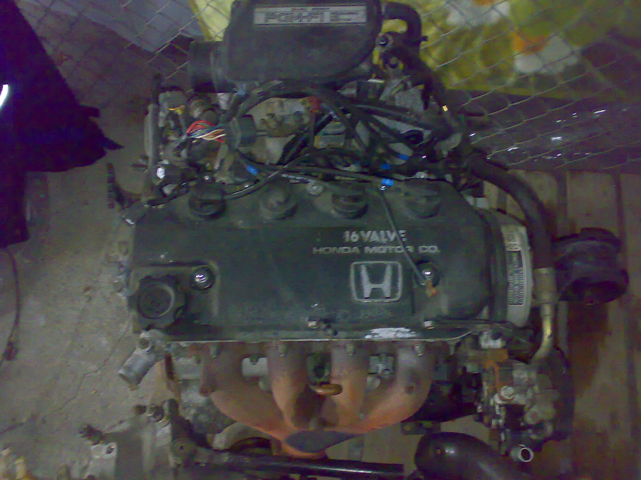 13062007103.jpg