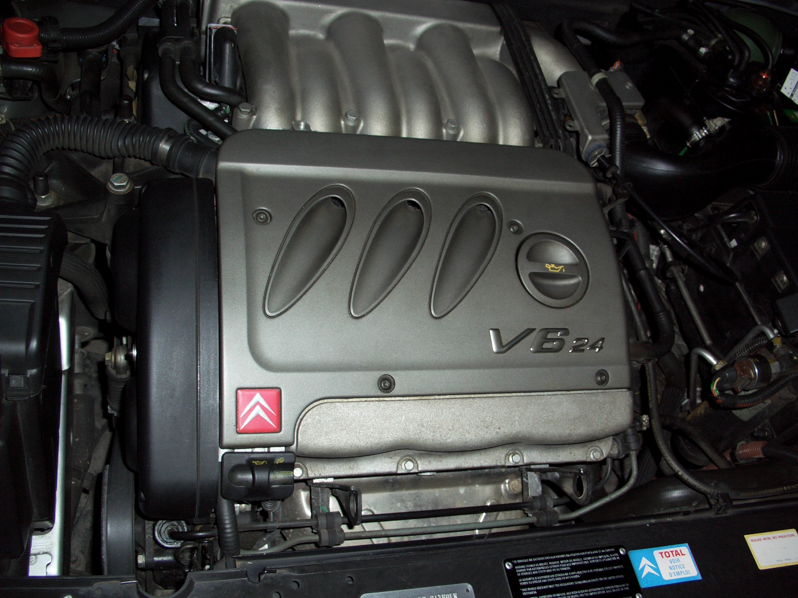 CIMG0134.JPG