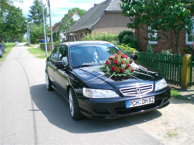 CIMG2065 (Small).JPG