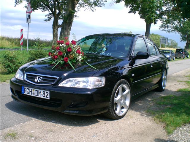 CIMG2068 (Small).JPG