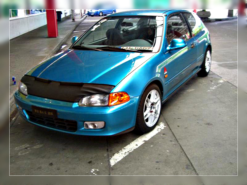 CIMG2581 copy.jpg