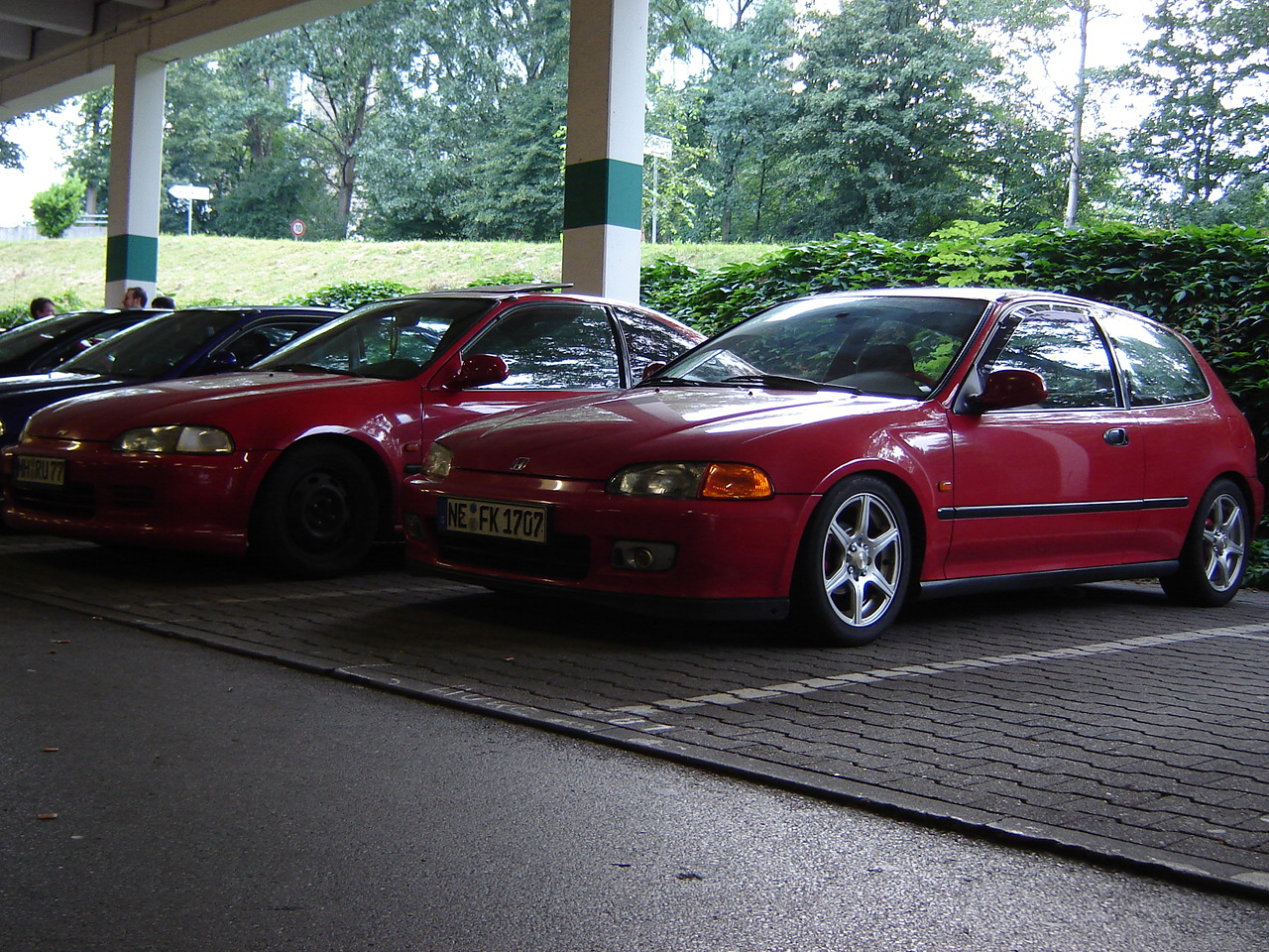 DSC07681.JPG