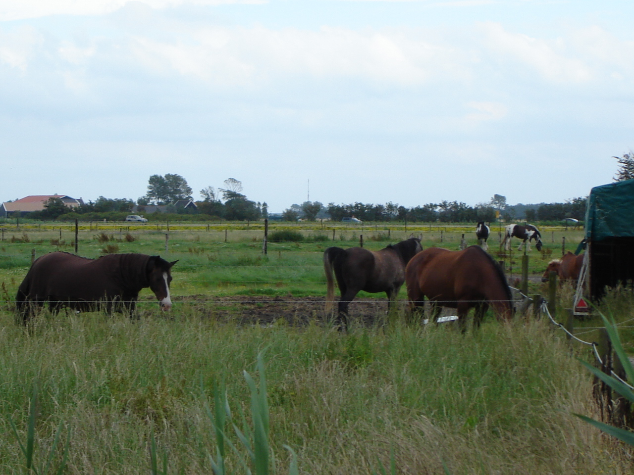 DSC07992.JPG