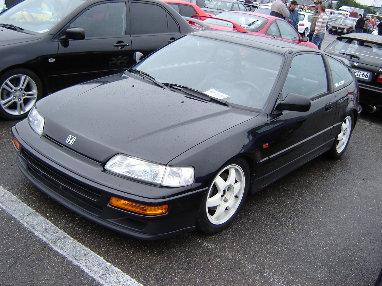 DSC08322.JPG