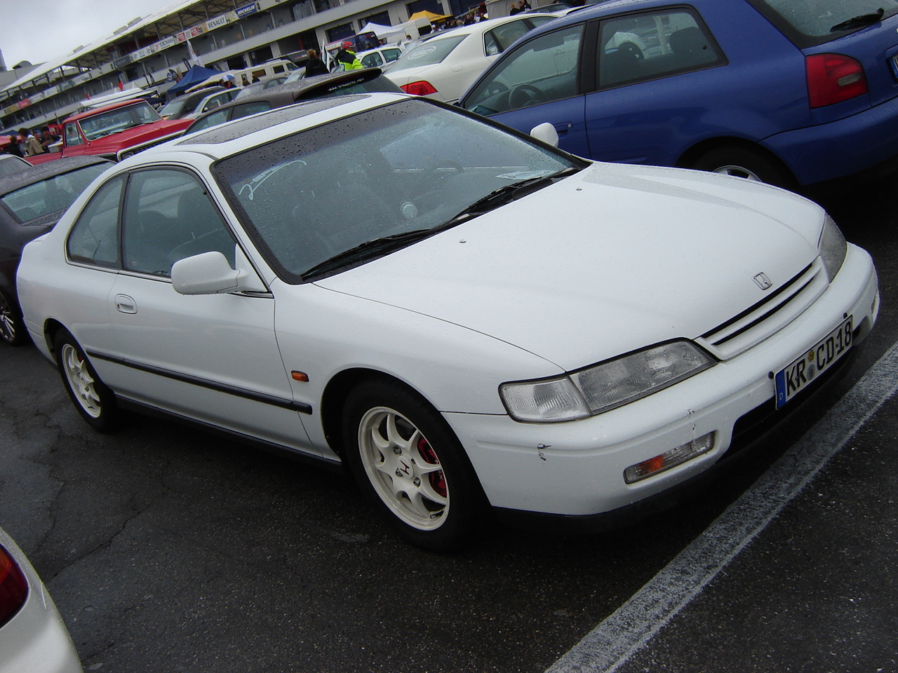 DSC08343.JPG