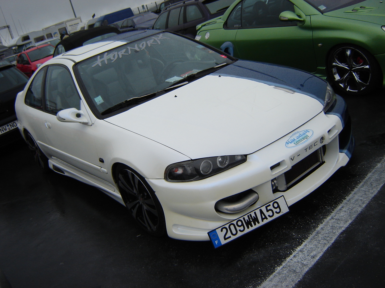 DSC08400.JPG
