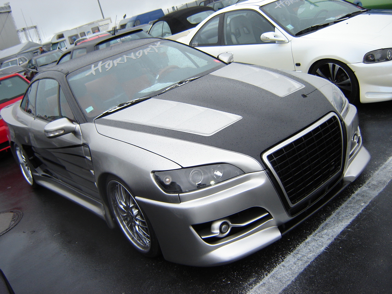 DSC08401.JPG