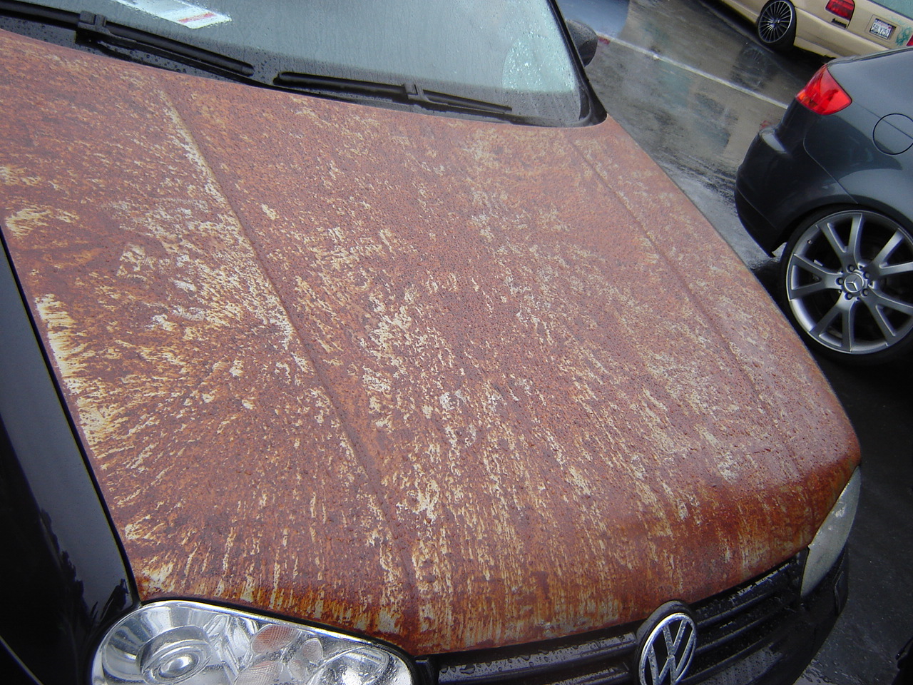 DSC08412.JPG