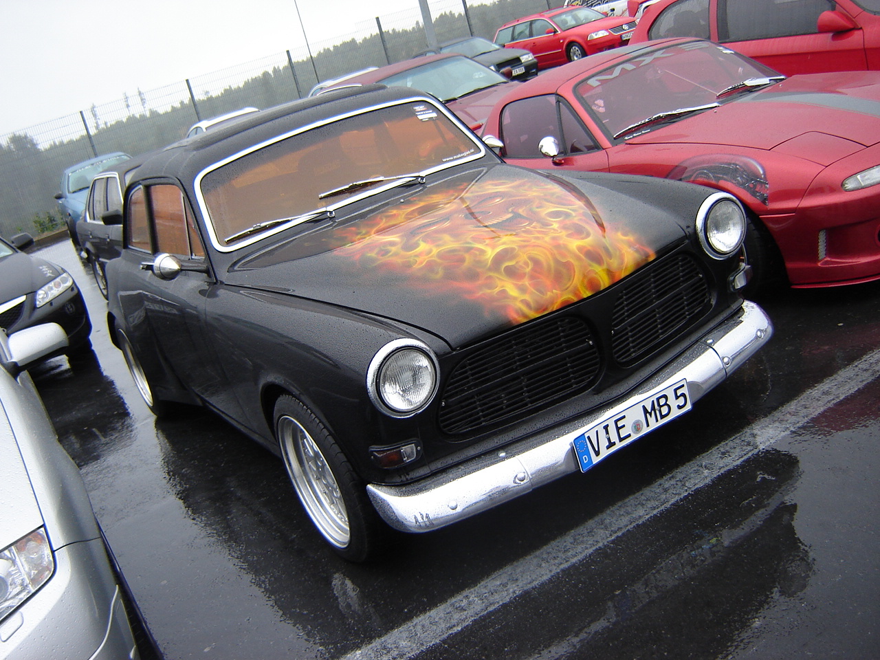 DSC08426.JPG